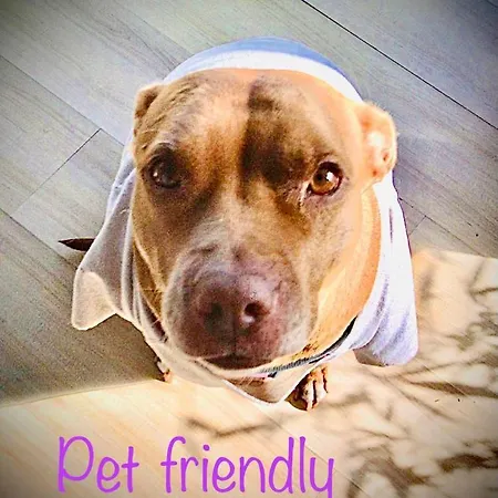 Confortable Urbanizacion El Paraiso Apartment